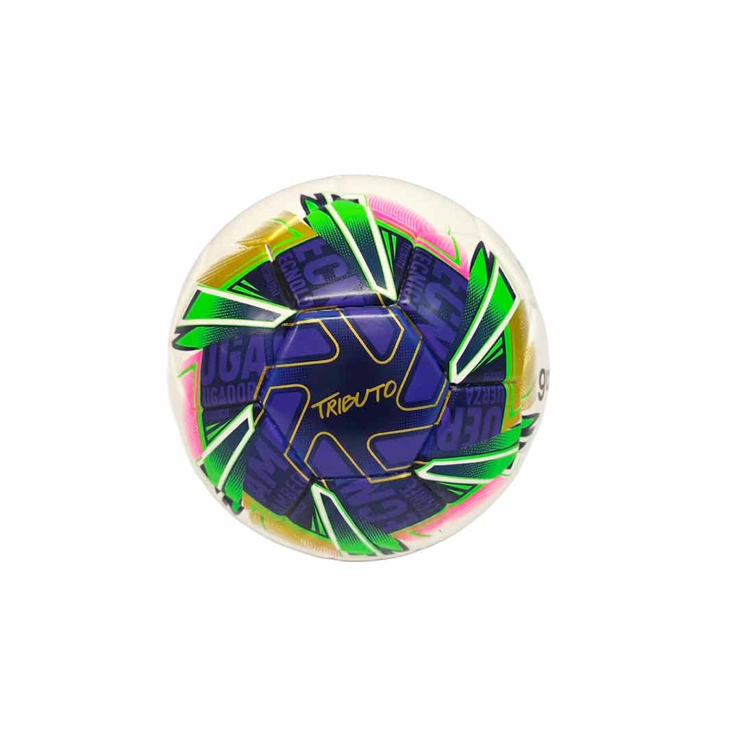 FUTBOL COLECCIONABLE TRIBUTO N1