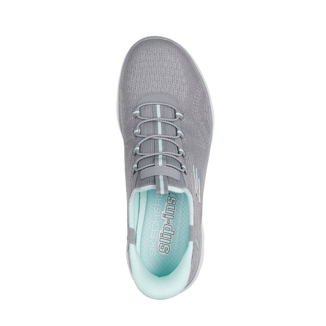 SLIP-INS SUMMITS DREAM CHASER