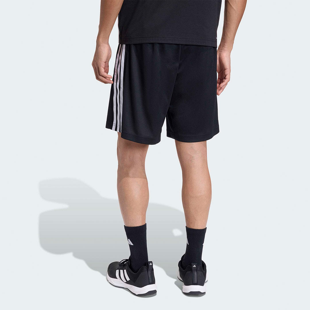 WORKOUT ESSENTIALS BASE 3 RAYAS