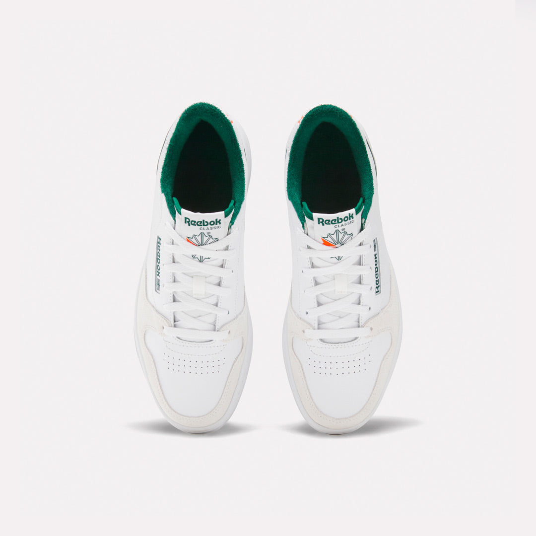 CLASSICS | PHASE COURT